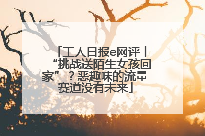 工人日报e网评丨“挑战送陌生女孩回家”？恶趣味的流量赛道没有未来