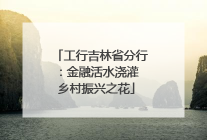 工行吉林省分行：金融活水浇灌 乡村振兴之花