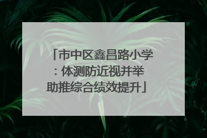 市中区鑫昌路小学：体测防近视并举 助推综合绩效提升