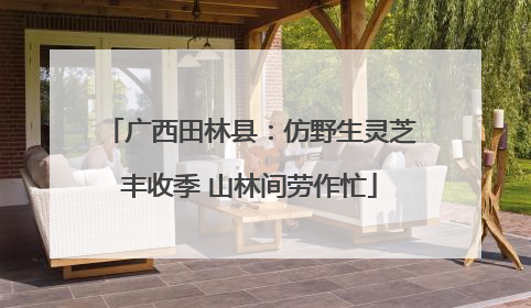 广西田林县：仿野生灵芝丰收季 山林间劳作忙