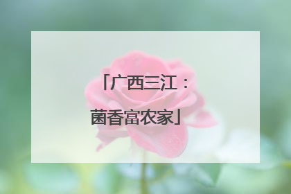 广西三江：菌香富农家