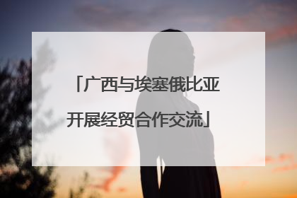 广西与埃塞俄比亚开展经贸合作交流