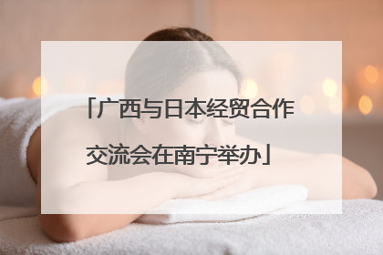 广西与日本经贸合作交流会在南宁举办
