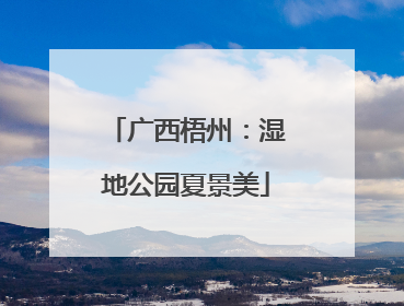 广西梧州：湿地公园夏景美