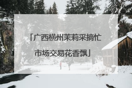 广西横州茉莉采摘忙 市场交易花香飘