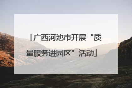 广西河池市开展“质量服务进园区”活动