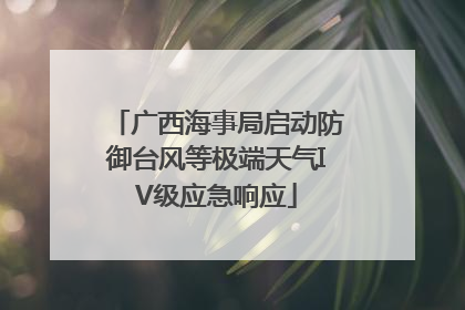 广西海事局启动防御台风等极端天气IV级应急响应
