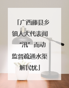广西藤县乡镇人大代表闻“汛”而动 监督疏通水渠解民忧