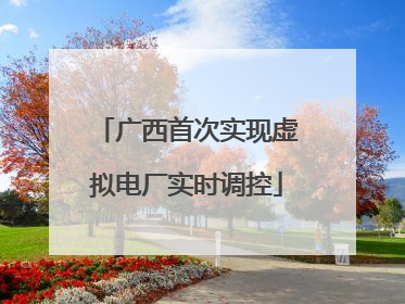 广西首次实现虚拟电厂实时调控