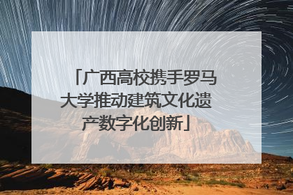 广西高校携手罗马大学推动建筑文化遗产数字化创新