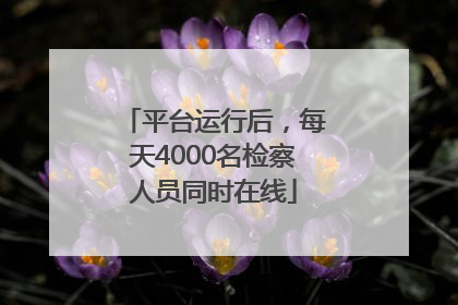 平台运行后，每天4000名检察人员同时在线