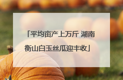 平均亩产上万斤 湖南衡山白玉丝瓜迎丰收