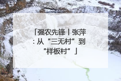 强农先锋丨张萍：从“三无村”到“样板村”