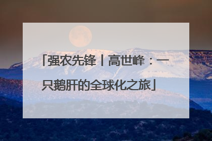 强农先锋丨高世峰：一只鹅肝的全球化之旅