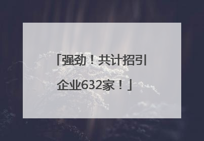 强劲！共计招引企业632家！