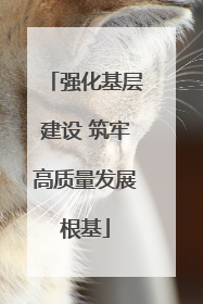 强化基层建设 筑牢高质量发展根基