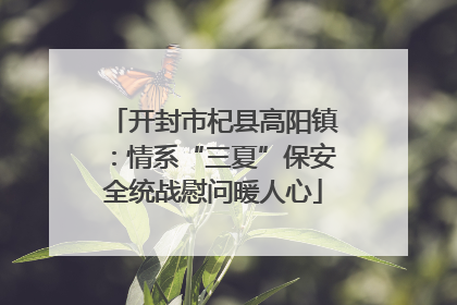开封市杞县高阳镇：情系“三夏”保安全统战慰问暖人心