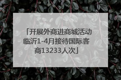 开展外商进商城活动 临沂1-4月接待国际客商13233人次