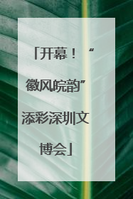 开幕！“徽风皖韵”添彩深圳文博会
