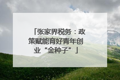 张家界税务：政策赋能育好青年创业“金种子”