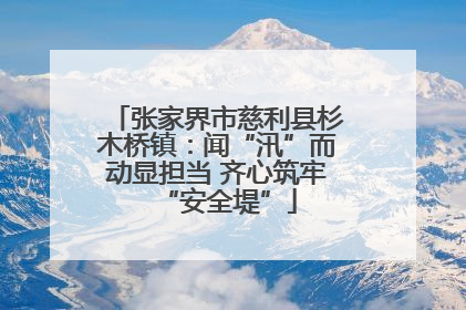 张家界市慈利县杉木桥镇：闻“汛”而动显担当 齐心筑牢“安全堤”