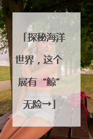 探秘海洋世界，这个展有“鲸”无险→