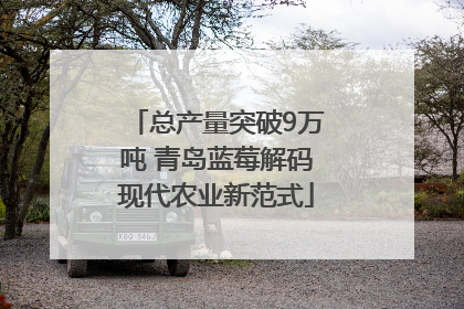 总产量突破9万吨 青岛蓝莓解码现代农业新范式