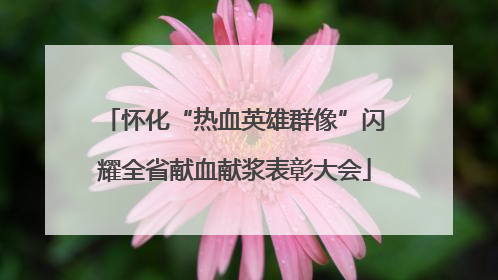 怀化“热血英雄群像”闪耀全省献血献浆表彰大会