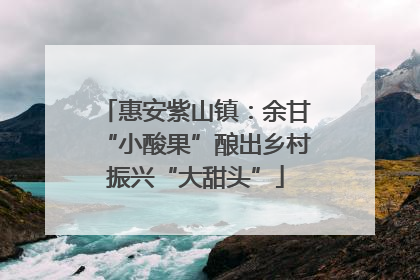 惠安紫山镇：余甘“小酸果”酿出乡村振兴“大甜头”
