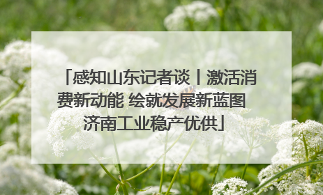 感知山东记者谈丨激活消费新动能 绘就发展新蓝图 济南工业稳产优供