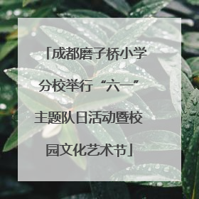 成都磨子桥小学分校举行“六一”主题队日活动暨校园文化艺术节