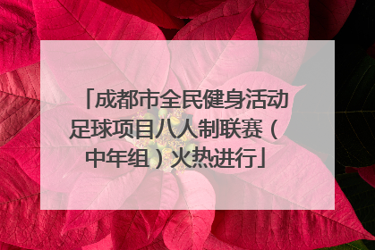 成都市全民健身活动足球项目八人制联赛（中年组）火热进行