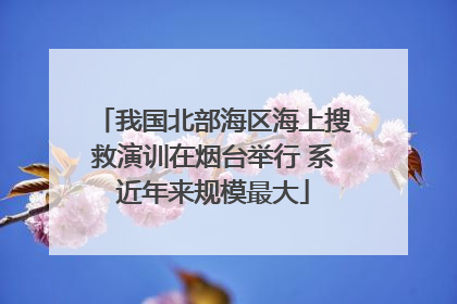 我国北部海区海上搜救演训在烟台举行 系近年来规模最大