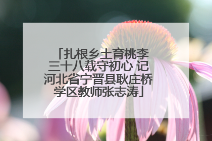 扎根乡土育桃李 三十八载守初心 记河北省宁晋县耿庄桥学区教师张志涛
