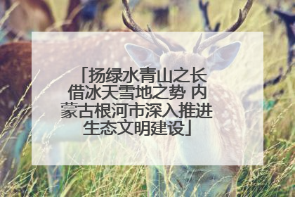 扬绿水青山之长 借冰天雪地之势 内蒙古根河市深入推进生态文明建设