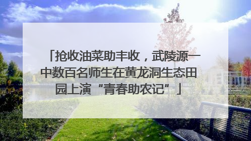 抢收油菜助丰收，武陵源一中数百名师生在黄龙洞生态田园上演“青春助农记”