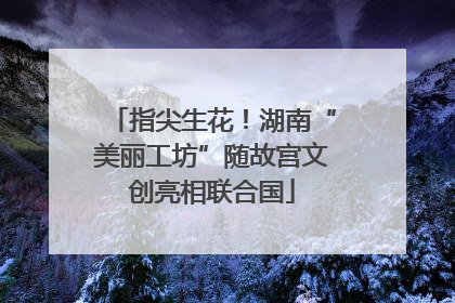 指尖生花！湖南“美丽工坊”随故宫文创亮相联合国