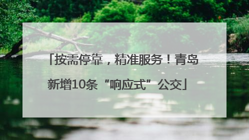 按需停靠，精准服务！青岛新增10条“响应式”公交