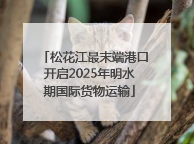 松花江最末端港口开启2025年明水期国际货物运输