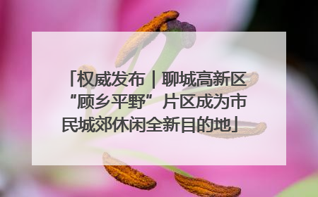 权威发布｜聊城高新区“顾乡平野”片区成为市民城郊休闲全新目的地