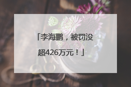 李海鹏，被罚没超426万元！