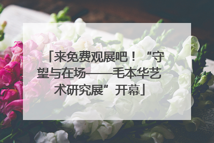 来免费观展吧！“守望与在场——毛本华艺术研究展”开幕