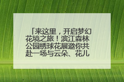 来这里，开启梦幻花境之旅！滨江森林公园绣球花展邀你共赴一场与云朵、花儿的浪漫之约