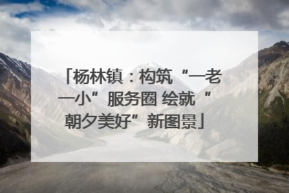 杨林镇：构筑“一老一小”服务圈 绘就“朝夕美好”新图景