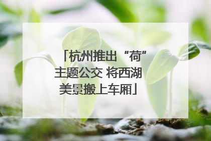 杭州推出“荷”主题公交 将西湖美景搬上车厢