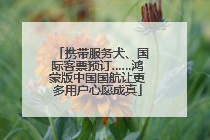 携带服务犬、国际客票预订……鸿蒙版中国国航让更多用户心愿成真