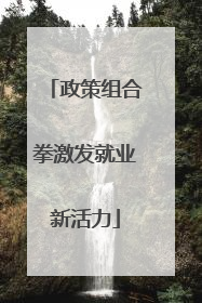 政策组合拳激发就业新活力