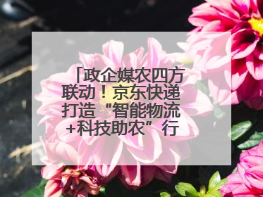 政企媒农四方联动！京东快递打造“智能物流+科技助农”行业直播新标杆