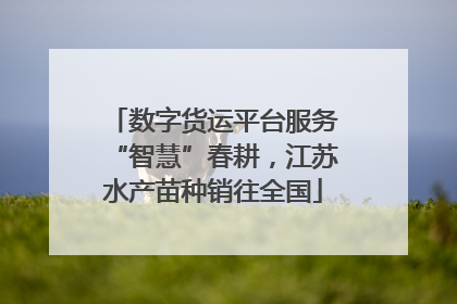 数字货运平台服务“智慧”春耕，江苏水产苗种销往全国
