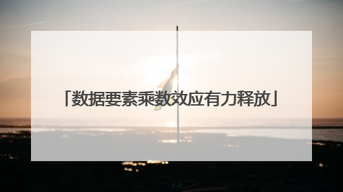 数据要素乘数效应有力释放